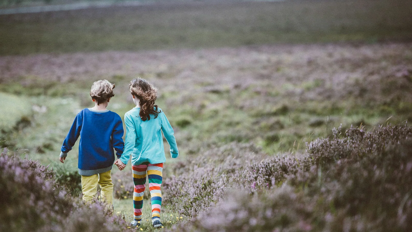 Two children walking hand in hand through an open field