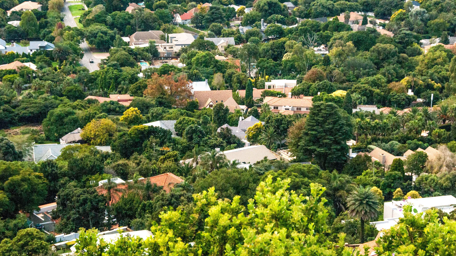 Aerial view of a leafy South African residential neighbourhood