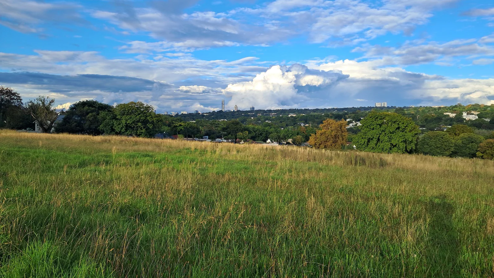 Green fields and the distant Johannesburg skyline beneath a broad sky