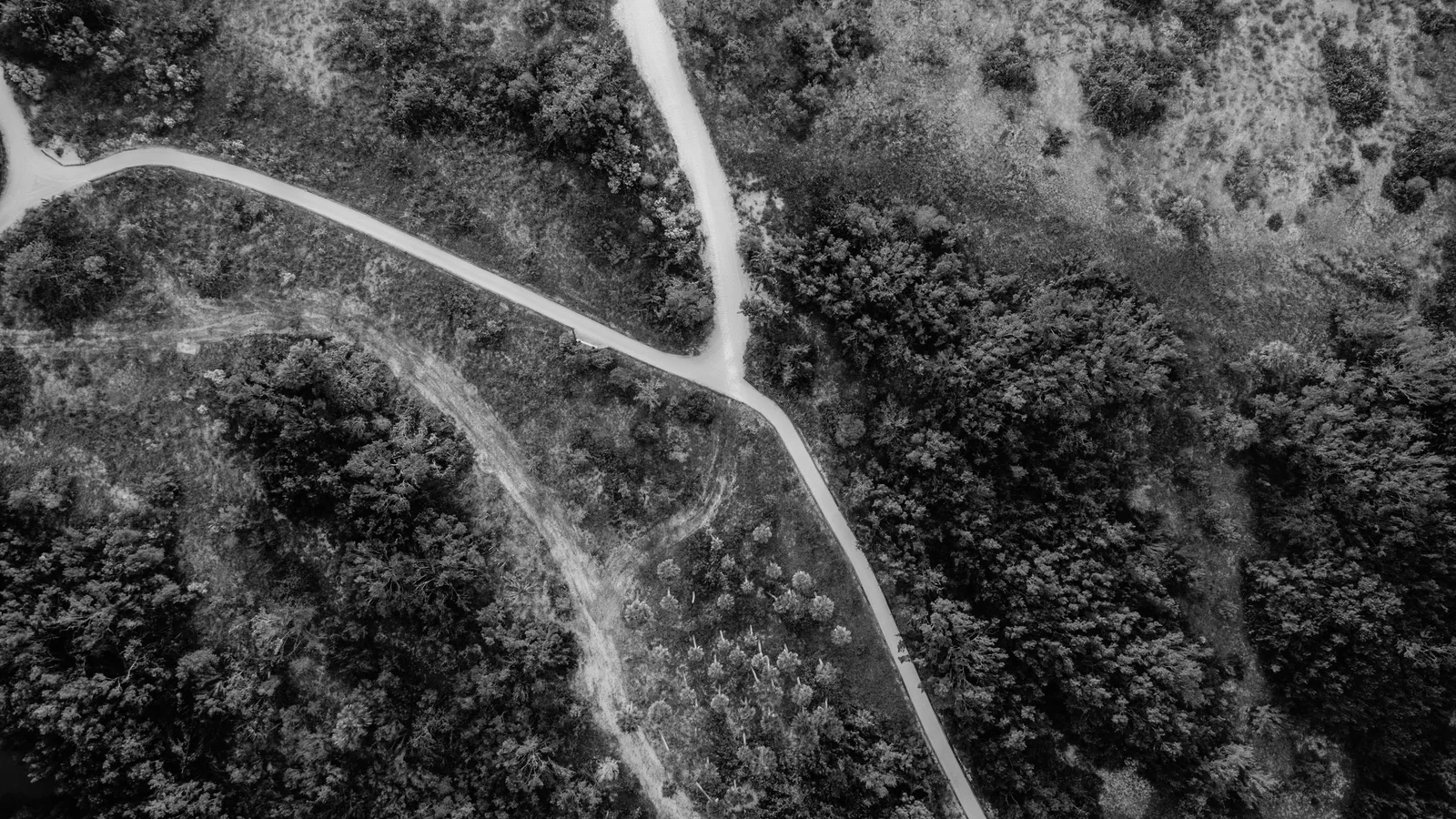 Aerial view of branching roads through a forest