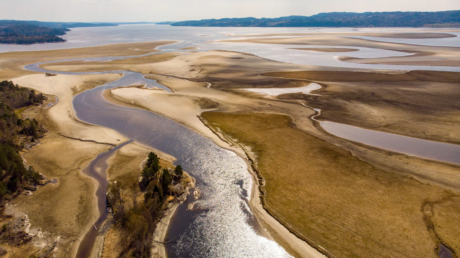 Branching river channels across a broad wetland landscape